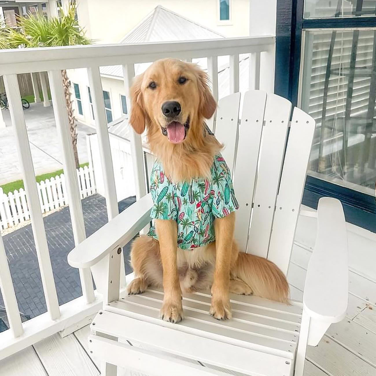 Hawaiian Camp Shirt - Surfboards and Palms